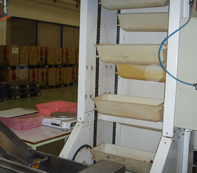 srinivasa bucket conveyors