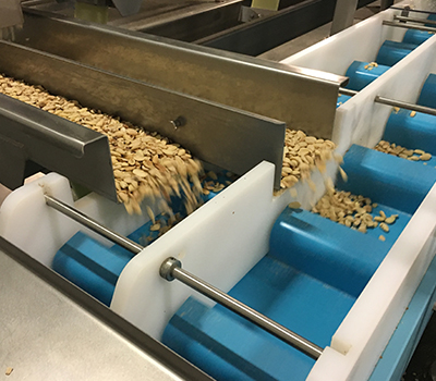 srinivasa bucket conveyors