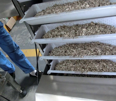 srinivasa bucket conveyors