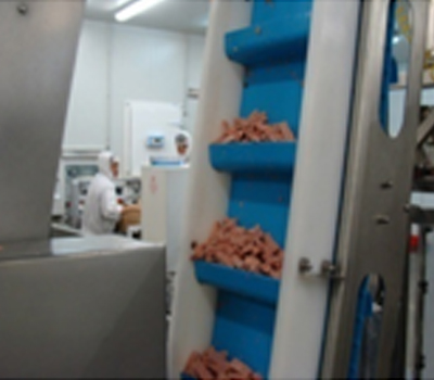 srinivasa bucket conveyors