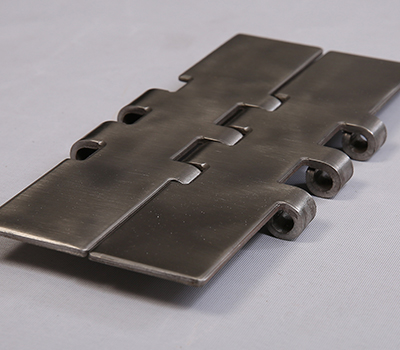 srinivasa double hinge