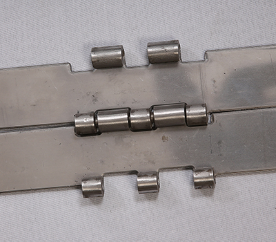 srinivasa double hinge