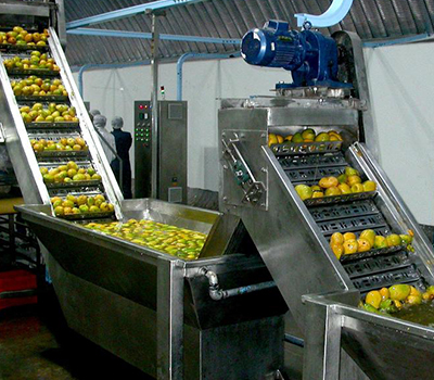 srinivasa elevator conveyor